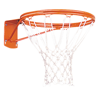 Porter Team Outdoor Double Rim Goal