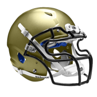 Schutt Team Vengeance SL-DCT Helmet - Men's - Gold / Gold