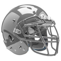 Schutt Team Vengeance VTD Helmet - Men's - Silver / Silver