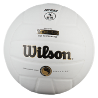 Wilson Team I-COR Game Volleyball - White / Black