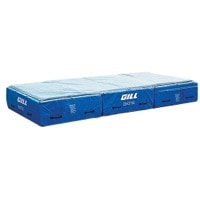 Gill Scholastic High Jump Landing System