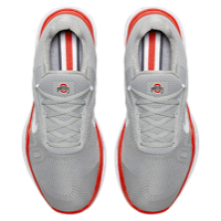 Nike Free Trainer V7 - Men's - Ohio State Buckeyes - Grey / White