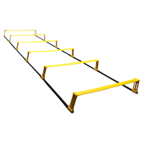 SKLZ Elevation Ladder